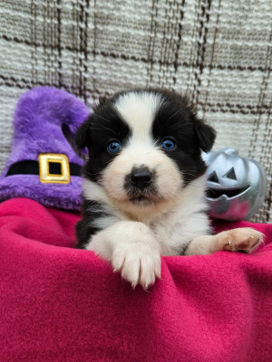 All eyes on you LILY