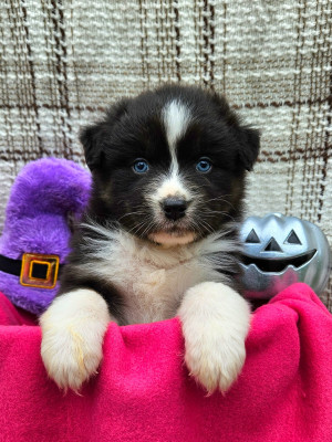 All eyes on you .........