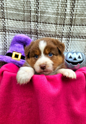 All eyes on you .........